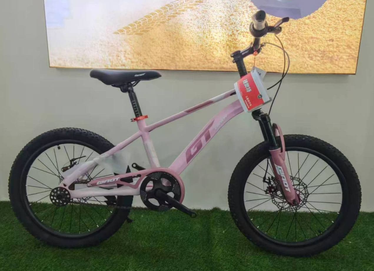 GT Junior Mountain Bike, 22 inch, Five Colours